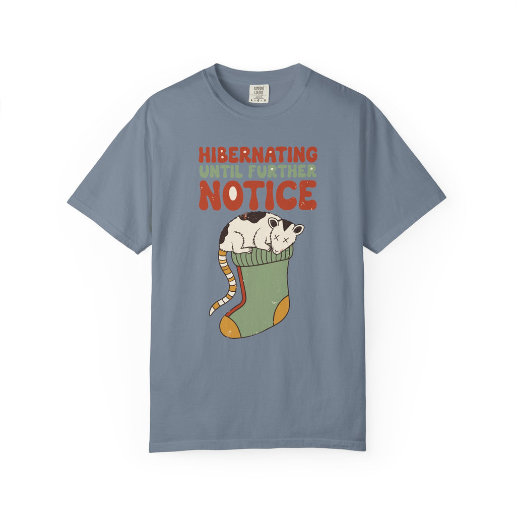 Hibernating Until Further Notice Possum Shirt, Comfort Colors Cozy Winter Tee, Funny Christmas Introvert Gift, Retro Animal Shirt
