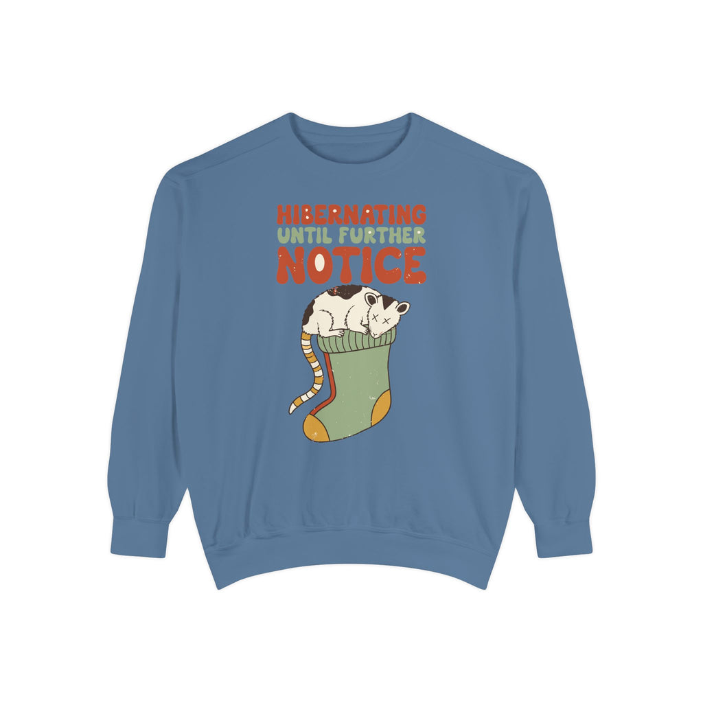 Hibernating Until Further Notice Possum Sweatshirt, Comfort Colors Cozy Winter Crewneck, Funny Christmas Introvert Gift, Retro Animal Shirt