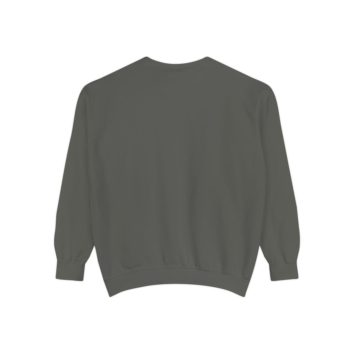 Shell Sweet Shell Snail Sweatshirt, Comfort Colors Cottagecore Homebody Crewneck, Cute Snail Cottage Gift, Cozy Introvert Sweatshirt